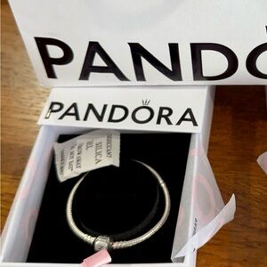 Pandora Silver Charm Bracelets